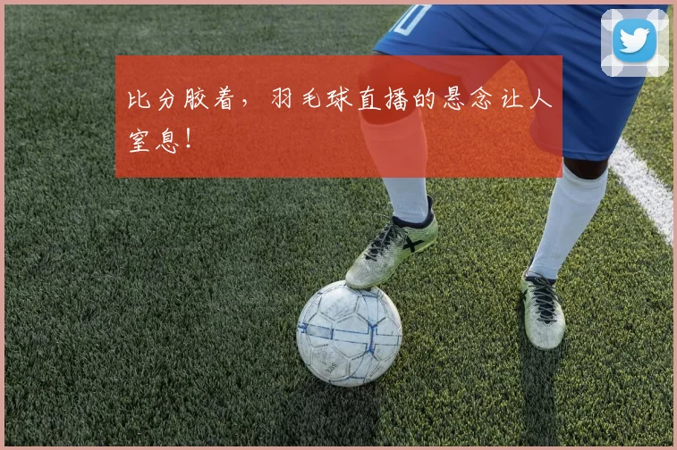 比分胶着，羽毛球直播的悬念让人窒息！